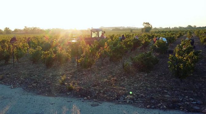 2016 Domaine Saint Gayan, L’Oratory Côtes-du-Rhône Villages Sablet, Rhône, Frankrig