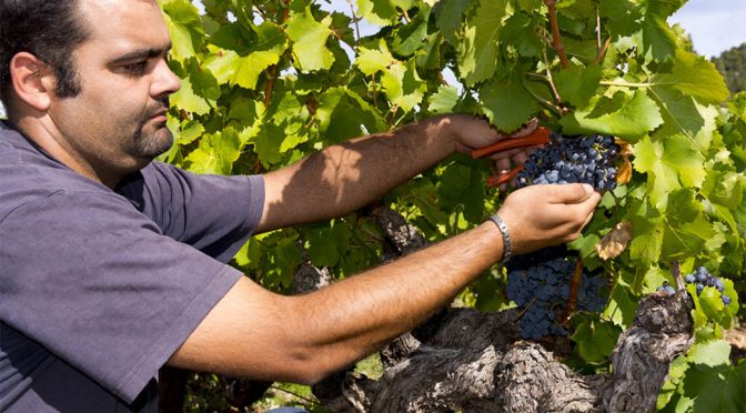 2016 Maison Gabriel Meffre, La Châsse Côtes-du-Rhône Villages Grande Reserve, Rhône, Frankrig