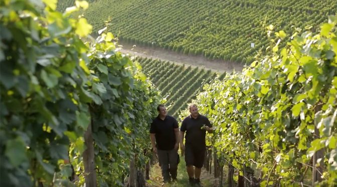 2016 Weingut Burggarten, Frühburgunder Trocken, Ahr, Tyskland