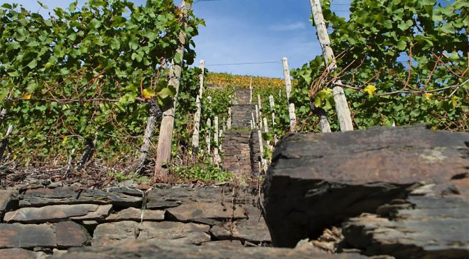 2016 Weingut Peter Kriechel, Spätburgunder B Trocken, Ahr, Tyskland