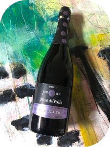 N.V. De Muller, Mas de Valls Brut, Katalonien, Spanien