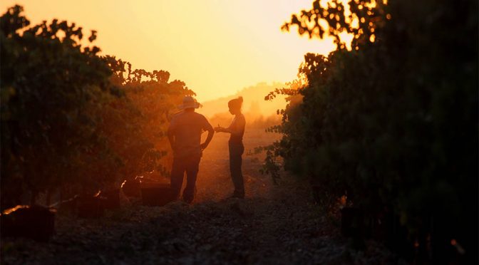 2016 Vega Clara, Diez Almendros, Ribera del Duero, Spanien