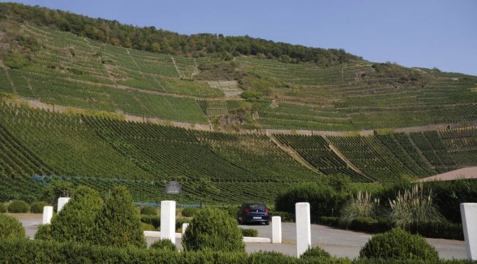 2016 Weingut Deutzerhof, Mayschosser Mönchberg Spätburgunder GG, Ahr, Tyskland