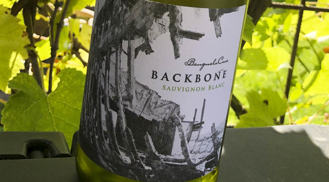 2018 Benguela Cove, Backbone Sauvignon Blanc, Walker Bay, Sydafrika