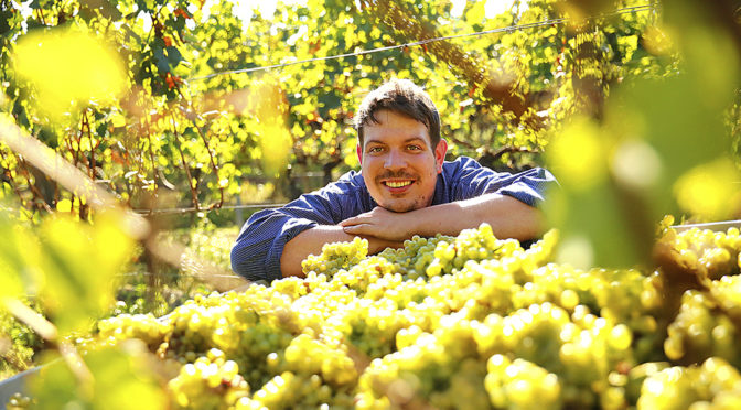 2016 Weingut Krebs, Freinsheim Spätburgunder Trocken, Pfalz, Tyskland