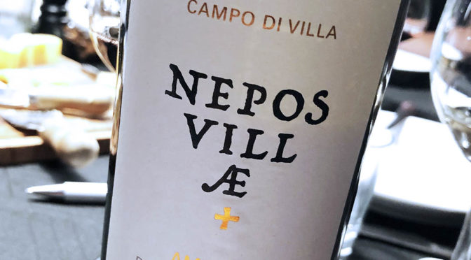 2013 Nepos Villae, Campo di Villa Amarone of Valpolicella Classico, Veneto, Italien