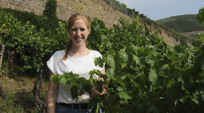 2018 Weingut Julia Bertram, Handwerk Spätburgunder, Ahr, Tyskland