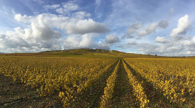 2018 Weingut Krämer, Gau-Weinheimer Riesling, Rheinhessen, Tyskland