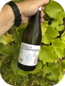 2019 Dominio de la Granadilla, Verdejo, Rueda, Spanien