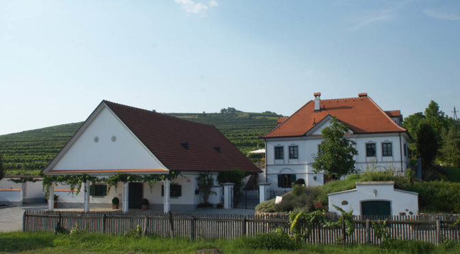 2019 Weingut Birgit Eichinger, Grüner Veltliner Strass, Kamptal, Østrig