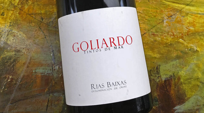 2018 Bodegas Forjas del Salnés, Goliardo Tinto, Rías Baixas, Spanien