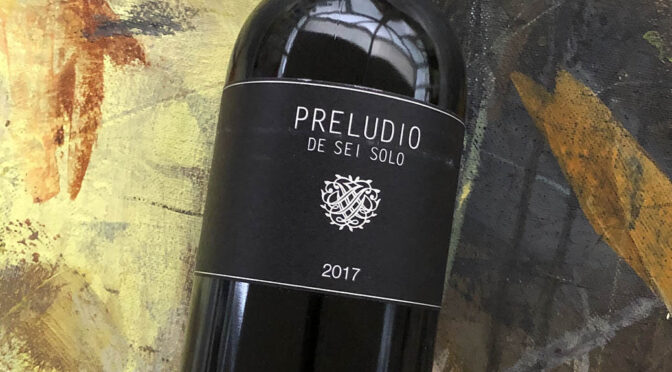 2017 Bodega Sei Solo, Preludio, Ribera del Duero, Spanien