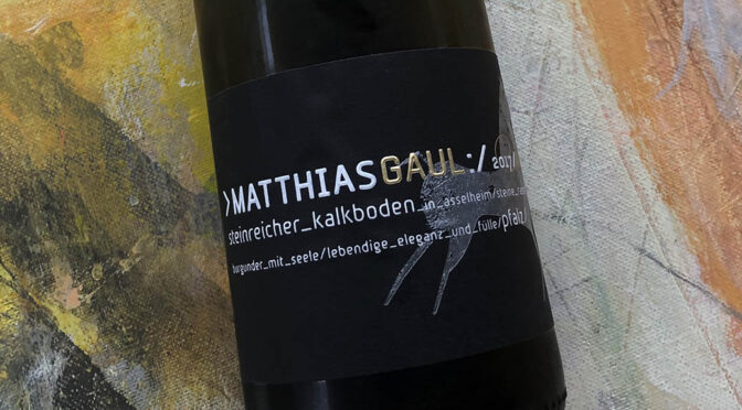 2017 Weingut Mathias Gaul, Pinot Noir Steinrassel, Pfalz, Tyskland