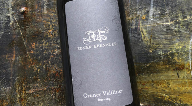 2019 Weingut Ebner-Ebenauer, Bürsting Grüner Veltliner Reserve, Niederösterreich, Østrig