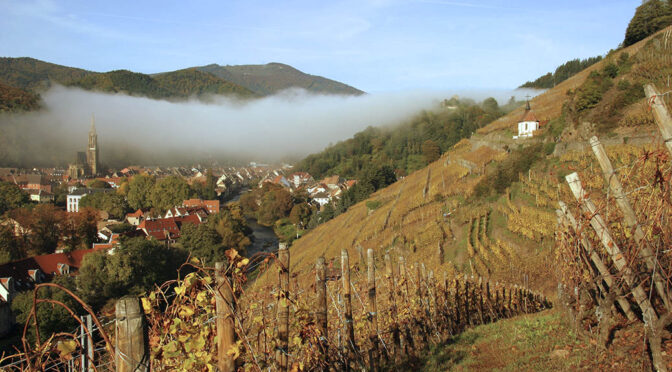 2018 Domaine Zind-Humbrecht, Rangen de Thann Clos Saint Urbain Riesling Grand Cru, Alsace, Frankrig