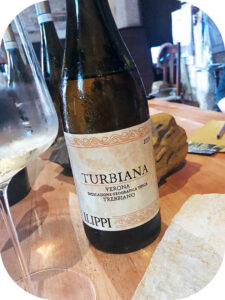 2019 Cantina Filippi, Turbiana Trebbiano, Veneto, Italien