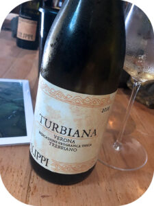 2018 Cantina Filippi, Turbiana Trebbiano, Veneto, Italien