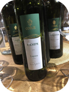 2019 Cobue, Lugana Camp 8, Lombardiet, Italien