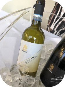 2020 Brunello, Lugana, Lombardiet, Italien