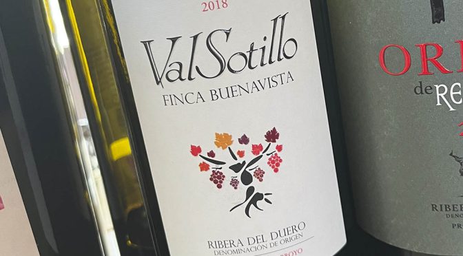 2018 Bodegas Ismael Arroyo, ValSotillo Finca Buenavista, Ribera del Duero, Spanien