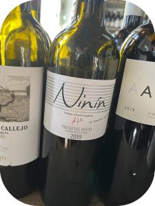 2019 Bodegas Izquierdo, Ninín, Ribera del Duero, Spanien