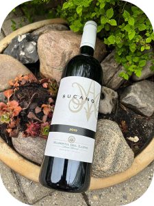 2019 Madonna del Latte, Sucàno Cabernet Franc, Umbrien, Italien