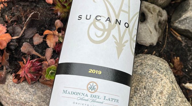 2019 Madonna del Latte, Sucàno Cabernet Franc, Umbrien, Italien