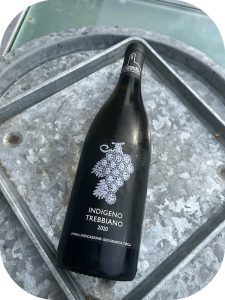 2020 Chiesa del Carmine, Indigeno Trebbiano, Umbrien, Italien