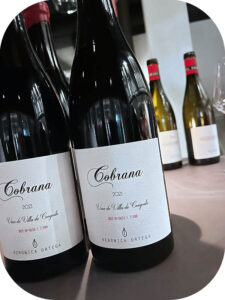 2021 Veronica Ortega, Cobrana, Bierzo, Spanien