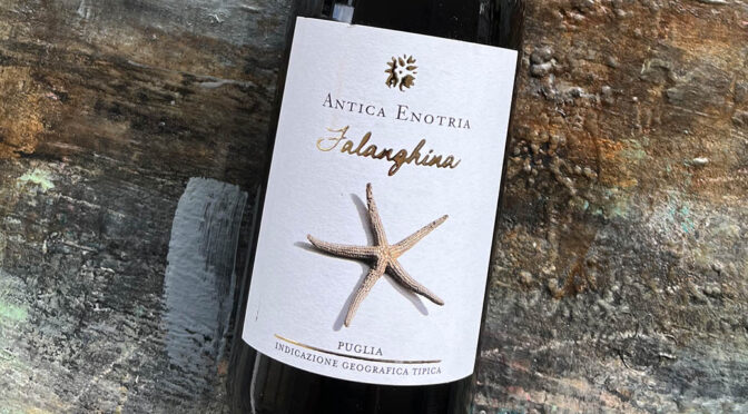 2021 Antica Enotria, Falanghina, Puglia, Italien