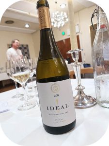 2020 World Wild Wines, Ideal Branco, Dão, Portugal