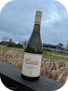 2021 Staete Landt, Duchess Sauvignon Blanc, Marlborough, New Zealand