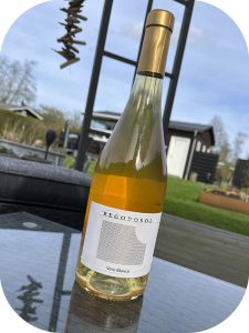 2021 Lagar de Costa, Rego do Sol Vino Blanco Natural Wine, Rías Baixas, Spanien