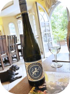 2023 Weingut Egert, Hattenheimer Hassel Riesling Trocken, Rheingau, Tyskland