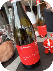 2022 Weingut Kaufmann, Rheingau Pinot Noir ++, Rheingau, Tyskland