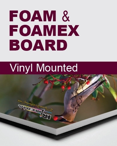 Foam or Foamex Display Board
