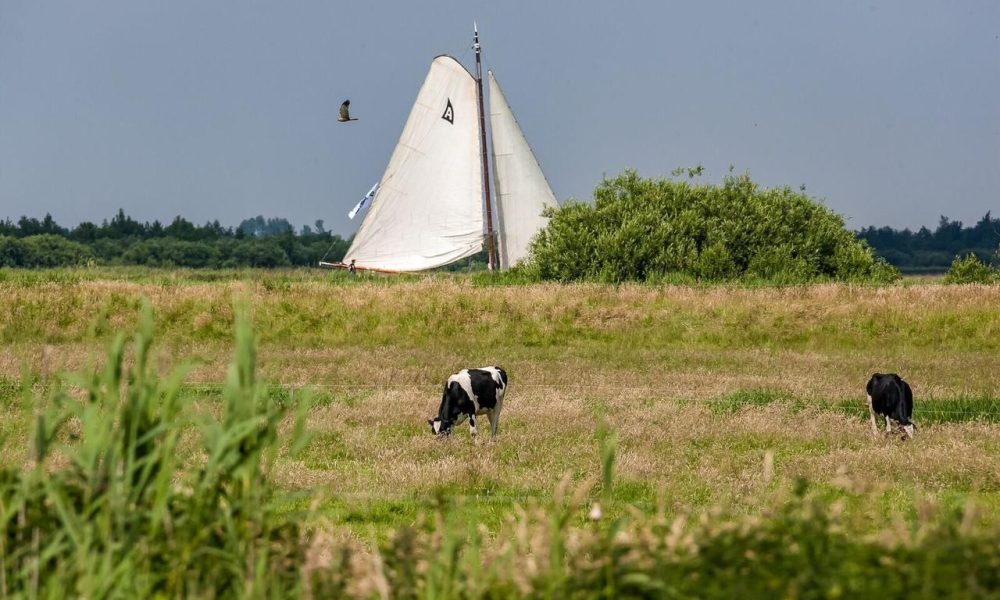 Fietsen zeilen friesland