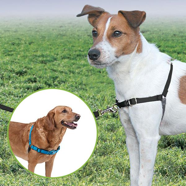 Easy Walk® Antitræk-hundesele | Petsafe | HundeGodbidden I Førende Barf, Rigtig Hundemad 100% Naturlig forhandler