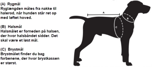 Måleskema Hundetøj