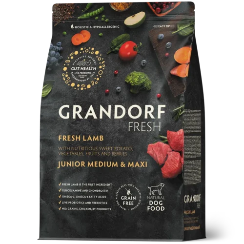 Grandorf Junior