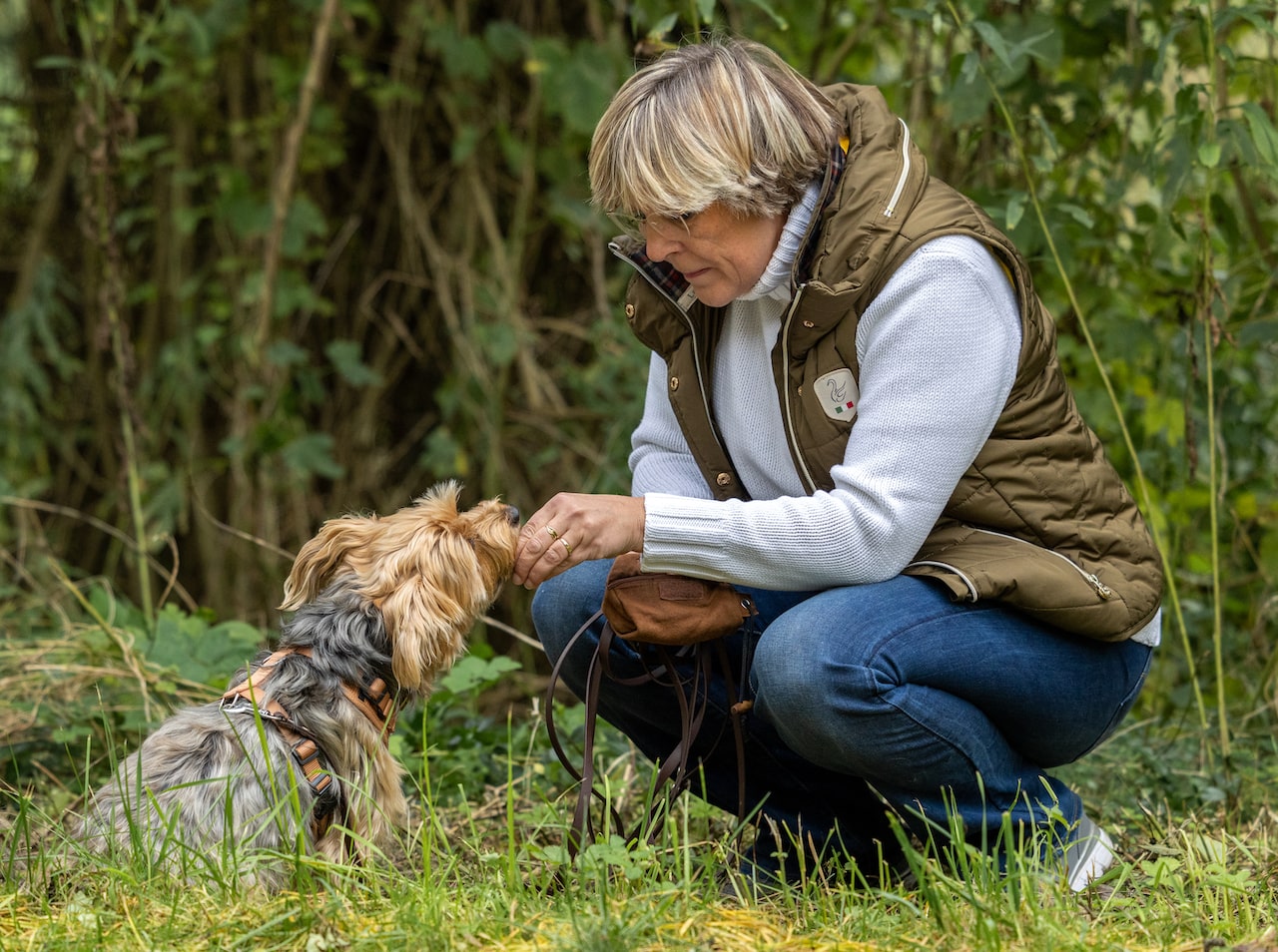 mobiles Hundetraining Nandlstadt