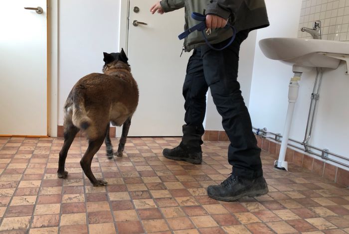 Polishund genomför narkotikasök på gymnasieskola i Västerås.