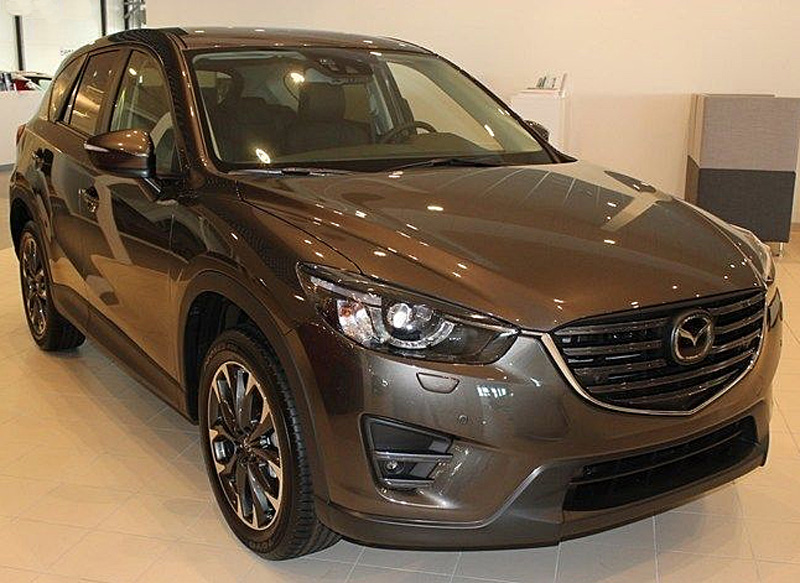 Brun Mazda CX-5 2.0 Skyactiv stulen i Svedala öster om Malmö