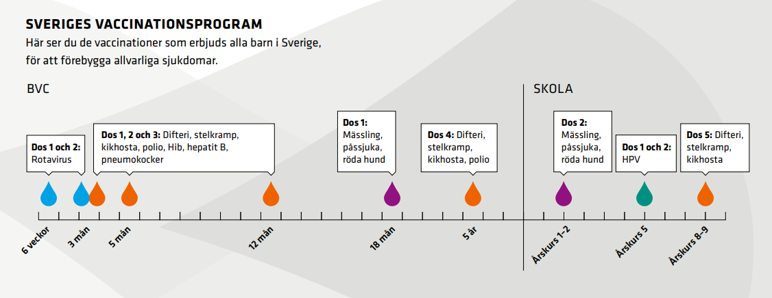 Barn erbjuds vaccin mot rotavirus, difteri, stelkramp, kikhosta, polio, HiB, hepatit B, pneumokocker, mässling, påssjuka, röda hund, HPV