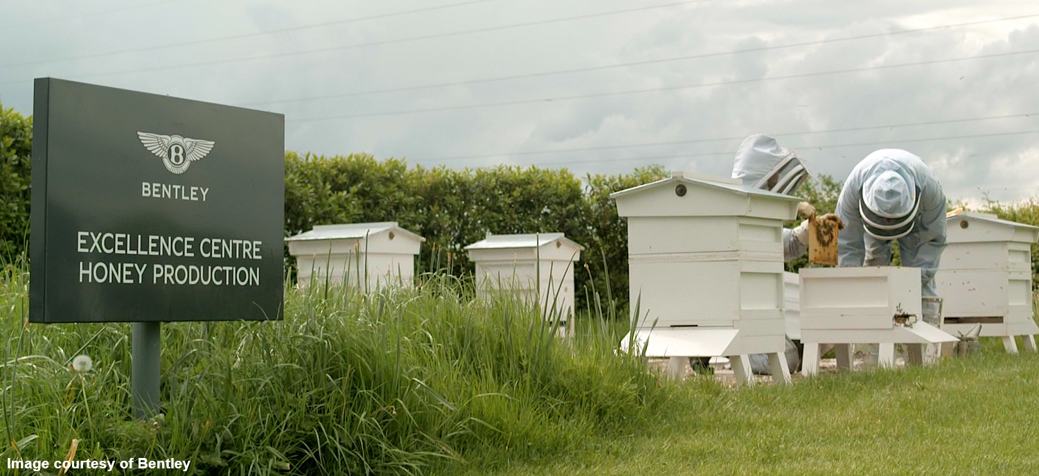 Bentley Beekeepers in action