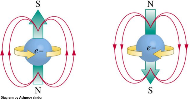 Electrons have an intrinsic angular momentum known as electron spin.