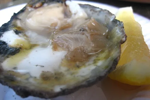 National Oyster Week - Native oysters