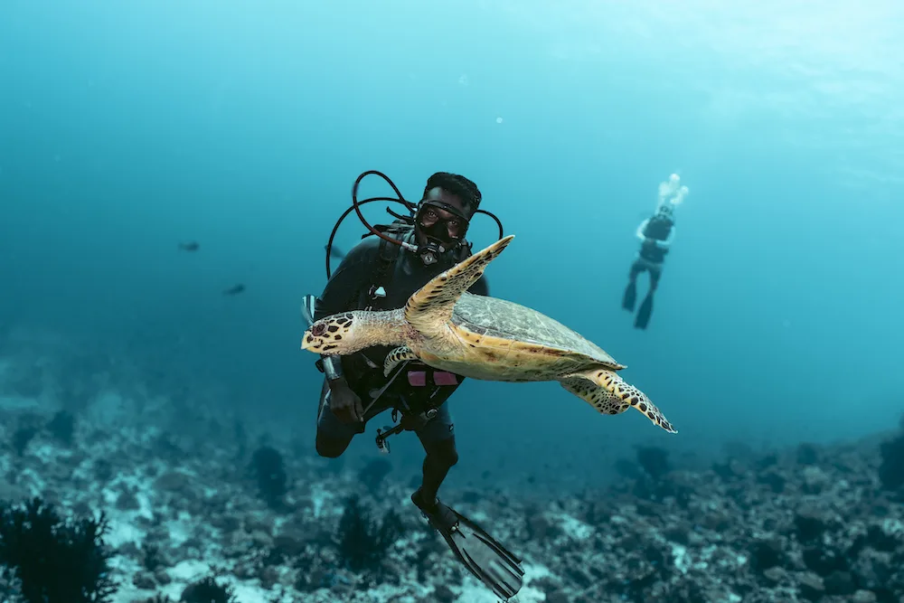 Scuba diving with turtles at Ifuru Island