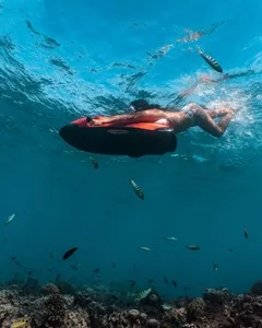 Sea-bob at Ifuru Island