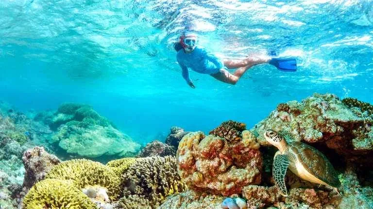 Snorkeling with a hawskbill turtle in Alphonse Island, Seychelles.